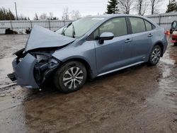 Salvage cars for sale from Copart Ontario Auction, ON: 2023 Toyota Corolla LE