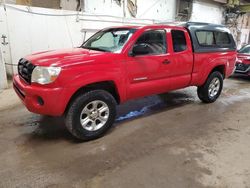 Toyota Tacoma Access cab salvage cars for sale: 2005 Toyota Tacoma Access Cab