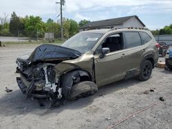 Salvage cars for sale from Copart York Haven, PA: 2022 Subaru Forester Wilderness