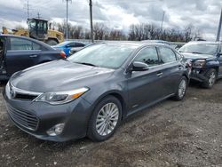Salvage cars for sale from Copart Columbus, OH: 2013 Toyota Avalon Hybrid