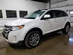 Salvage cars for sale from Copart Blaine, MN: 2011 Ford Edge Limited