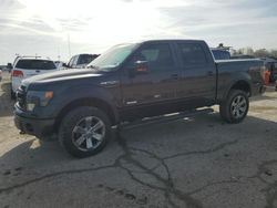 Ford salvage cars for sale: 2013 Ford F150 Supercrew