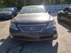 2009 Lexus LS 460