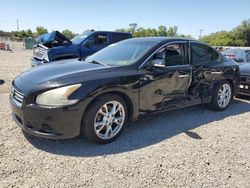 Salvage cars for sale at Riverview, FL auction: 2012 Nissan Maxima S