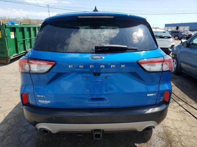 2020 Ford Escape SEL