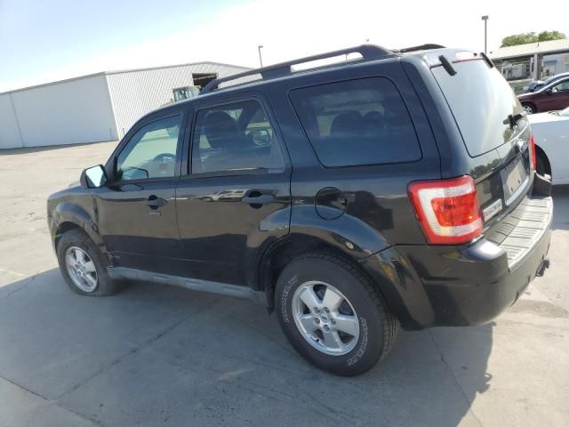 2009 Ford Escape XLT