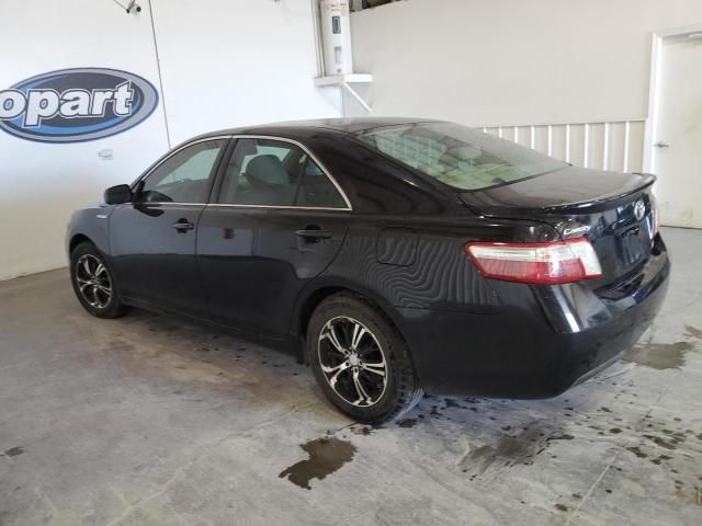 2007 Toyota Camry Hybrid