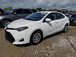 Salvage cars for sale from Copart Louisville, KY: 2019 Toyota Corolla L