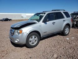 Vehiculos salvage en venta de Copart Phoenix, AZ: 2008 Ford Escape XLT