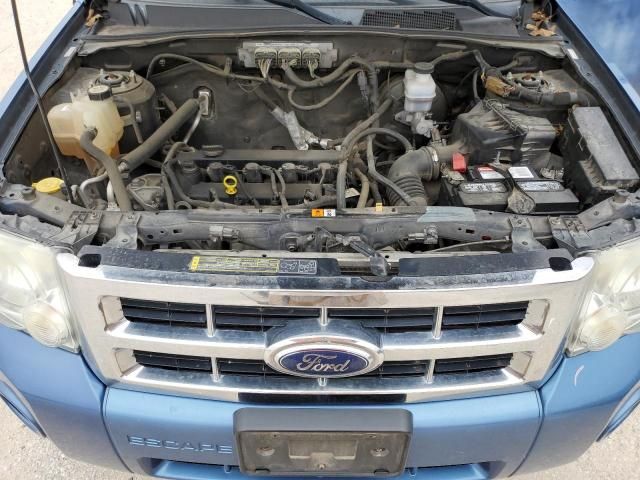 2009 Ford Escape XLT