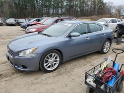 Nissan Maxima S salvage cars for sale: 2010 Nissan Maxima S