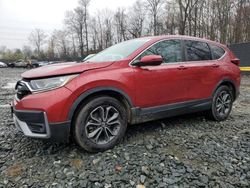 Honda salvage cars for sale: 2020 Honda CR-V EXL
