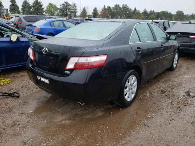 2009 Toyota Camry Hybrid