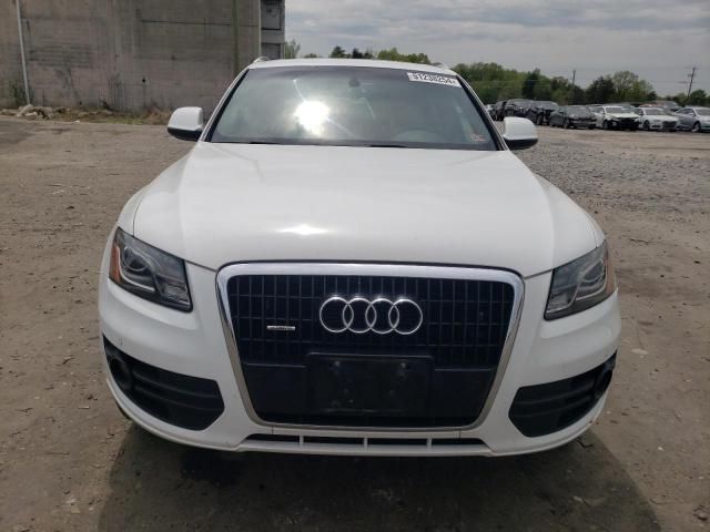 2010 Audi Q5 Premium Plus