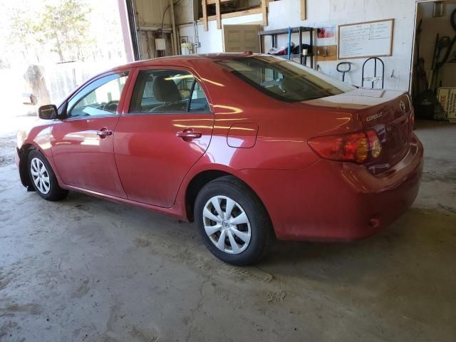 2010 Toyota Corolla Base