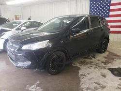 Salvage cars for sale from Copart Cicero, IN: 2014 Ford Escape SE
