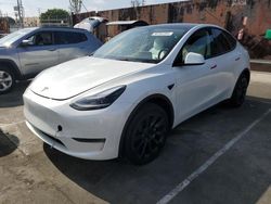 Salvage cars for sale at Wilmington, CA auction: 2023 Tesla Model Y