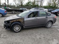 Salvage cars for sale from Copart Cicero, IN: 2010 Ford Focus SE