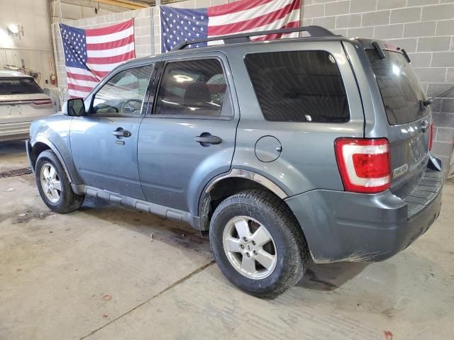 2010 Ford Escape XLT