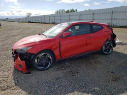 Salvage cars for sale from Copart Anderson, CA: 2019 Hyundai Veloster Turbo