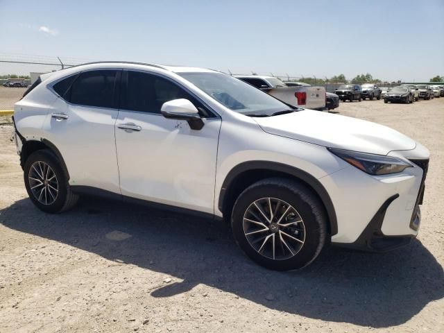 2024 Lexus NX 350 Premium