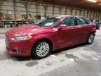 2013 Ford Fusion SE Hybrid