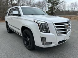 Cars With No Damage for sale at auction: 2016 Cadillac Escalade Platinum