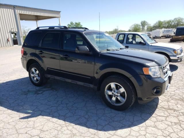 2011 Ford Escape Limited