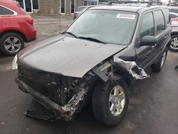 Vehiculos salvage en venta de Copart New Britain, CT: 2006 Ford Escape Limited