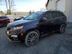 KIA Sorento SX salvage cars for sale: 2012 KIA Sorento SX