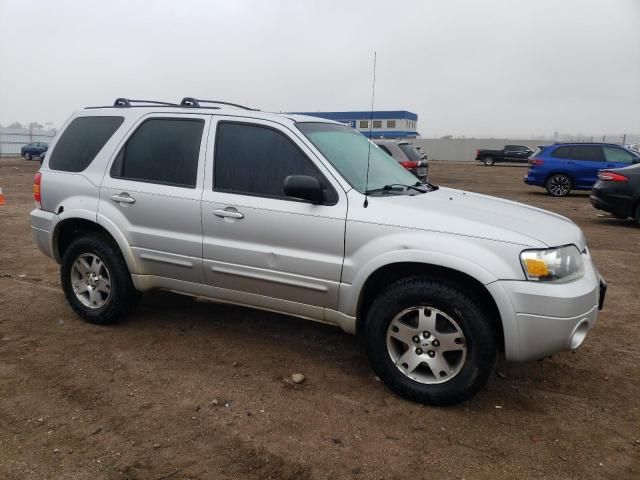 2005 Ford Escape Limited