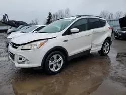 Ford salvage cars for sale: 2013 Ford Escape SE