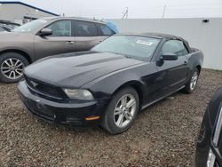 Salvage cars for sale from Copart Central Square, NY: 2010 Ford Mustang