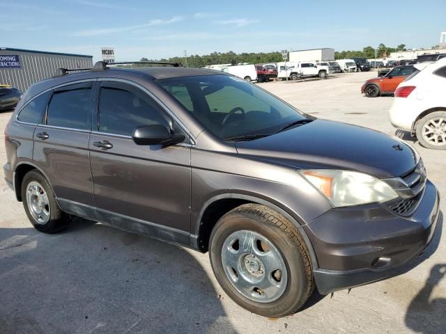 2010 Honda CR-V LX