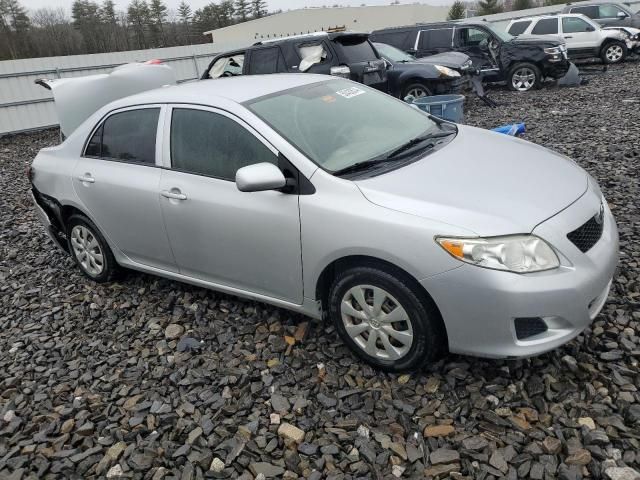 2010 Toyota Corolla Base