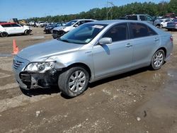 Toyota salvage cars for sale: 2007 Toyota Camry Hybrid