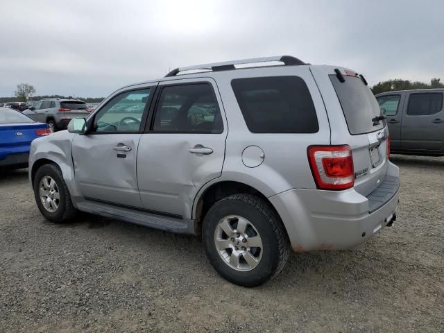 2011 Ford Escape Limited