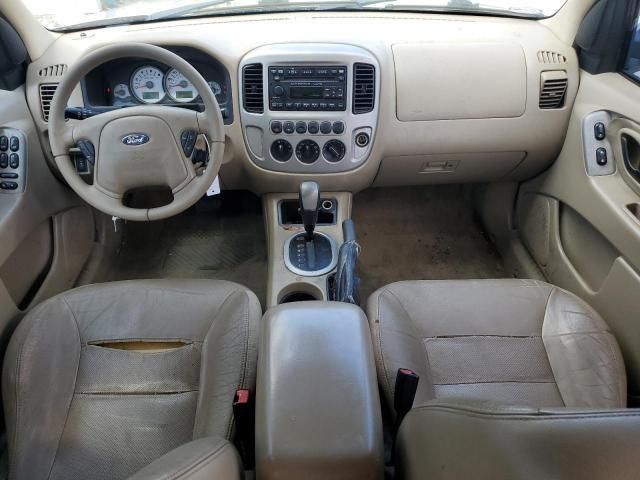 2007 Ford Escape Limited