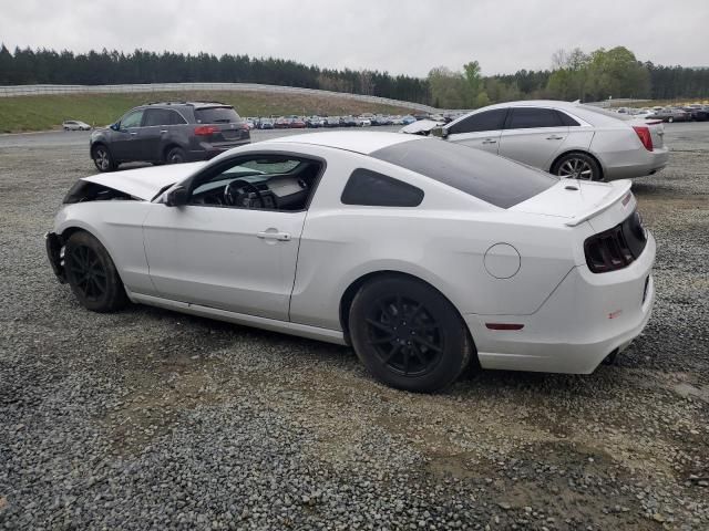 2014 Ford Mustang