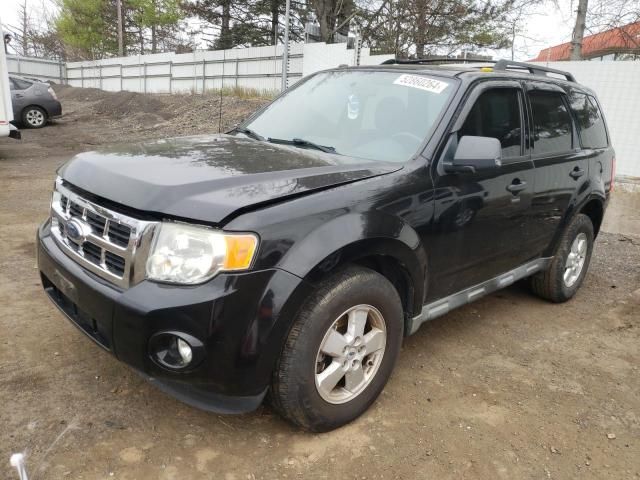 2010 Ford Escape XLT