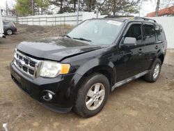 Salvage cars for sale at New Britain, CT auction: 2010 Ford Escape XLT