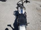 2002 Harley-Davidson Flstf