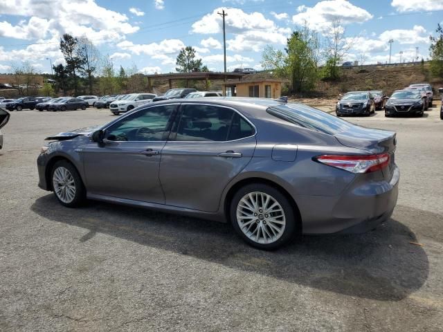 2019 Toyota Camry Hybrid