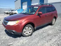 Salvage cars for sale from Copart Elmsdale, NS: 2009 Subaru Forester XS