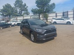 Salvage cars for sale at Waldorf, MD auction: 2020 Toyota Rav4 XLE