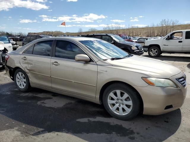 2008 Toyota Camry Hybrid