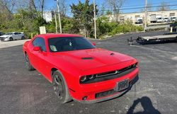 Dodge Challenger salvage cars for sale: 2015 Dodge Challenger SXT Plus