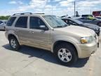 2007 Ford Escape HEV