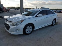 Salvage cars for sale from Copart West Palm Beach, FL: 2012 Hyundai Sonata Hybrid