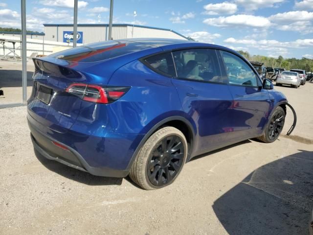 2020 Tesla Model Y